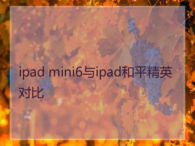 ipad mini6与ipad和平精英对比