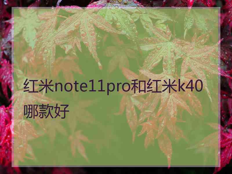 红米note11pro和红米k40哪款好