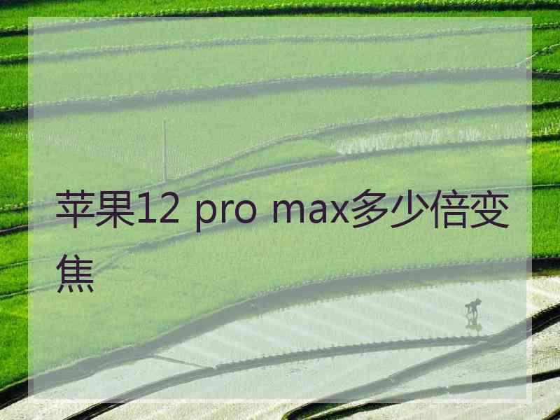 苹果12 pro max多少倍变焦