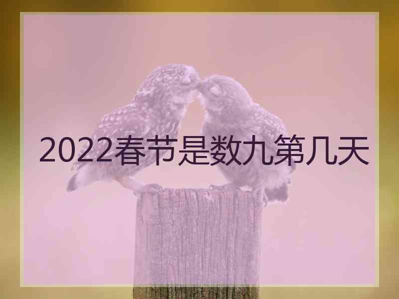 2022春节是数九第几天