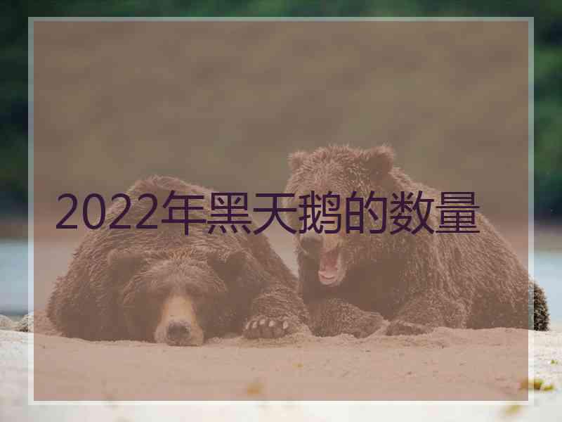 2022年黑天鹅的数量