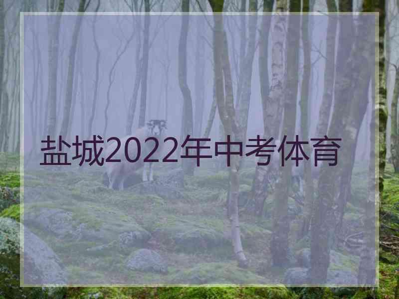 盐城2022年中考体育