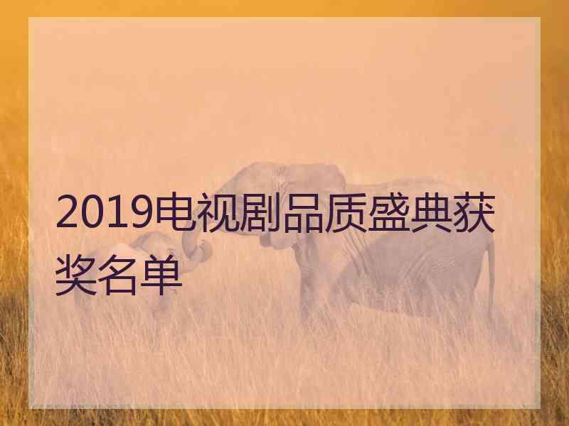 2019电视剧品质盛典获奖名单