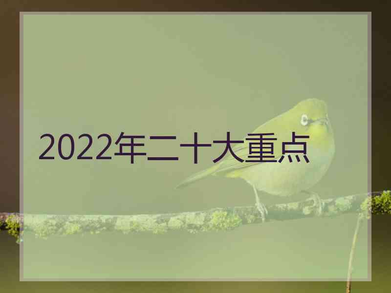 2022年二十大重点