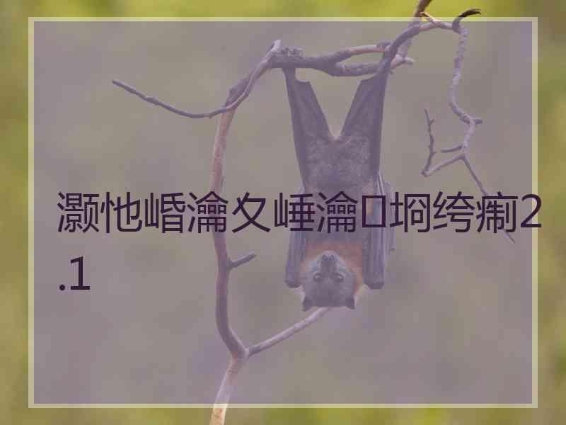 灏忚崏瀹夊崜瀹㈡埛绔痸2.1