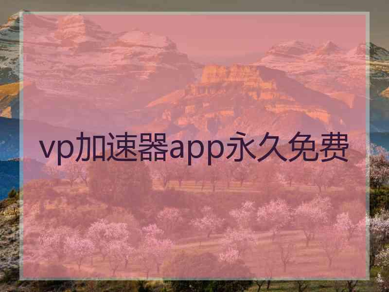 vp加速器app永久免费