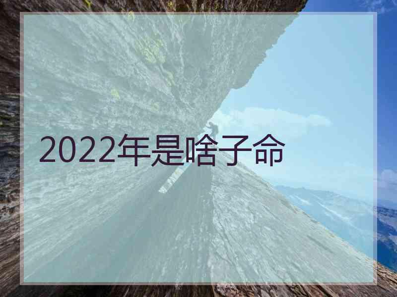 2022年是啥子命