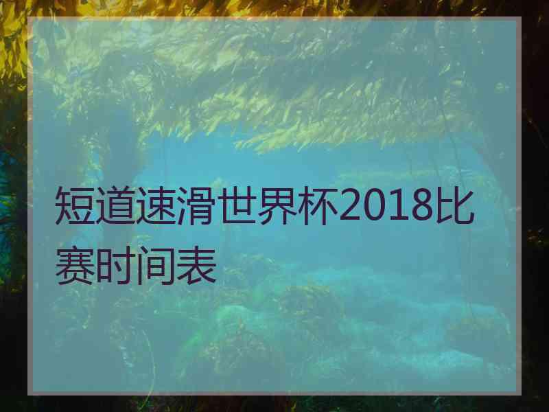 短道速滑世界杯2018比赛时间表