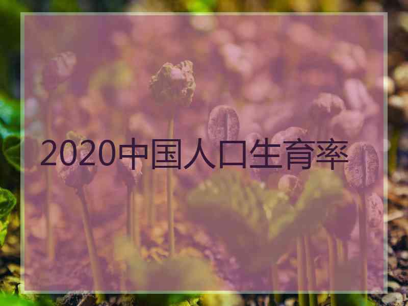 2020中国人口生育率