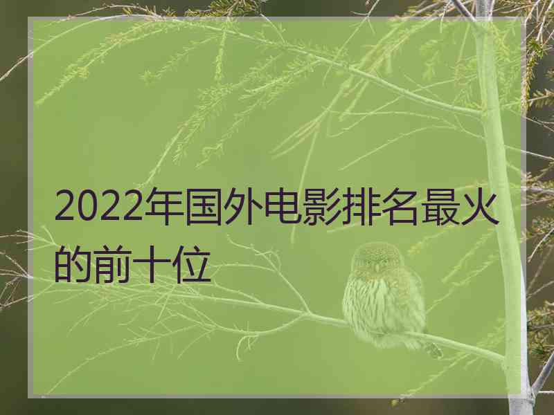 2022年国外电影排名最火的前十位