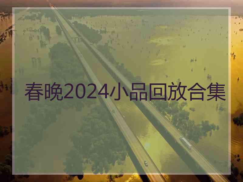 春晚2024小品回放合集