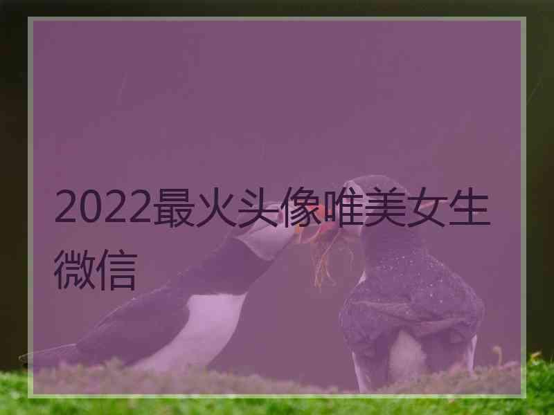 2022最火头像唯美女生微信