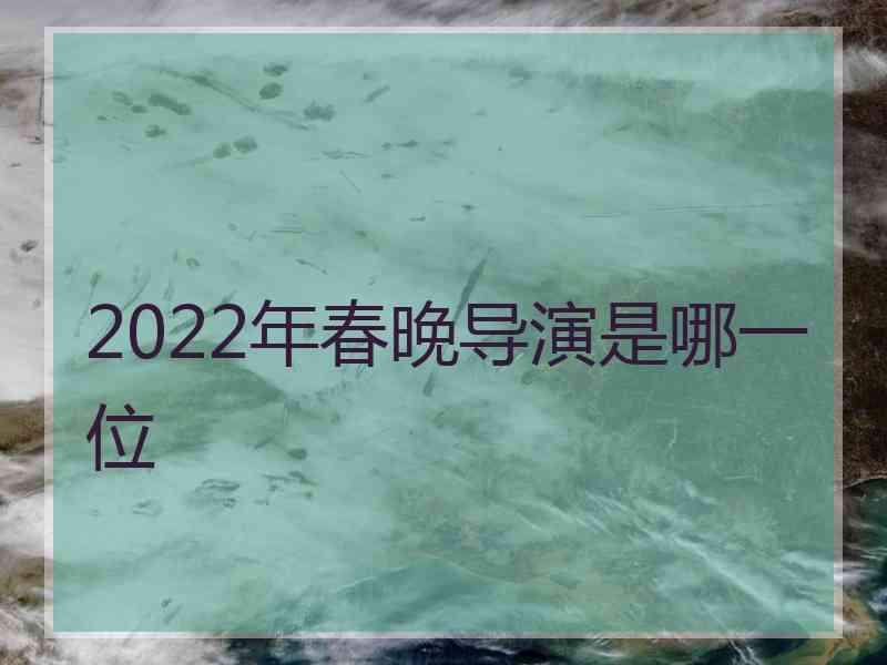 2022年春晚导演是哪一位