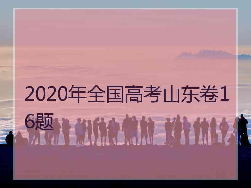 2020年全国高考山东卷16题