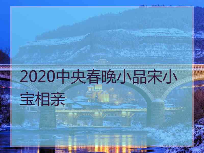 2020中央春晚小品宋小宝相亲