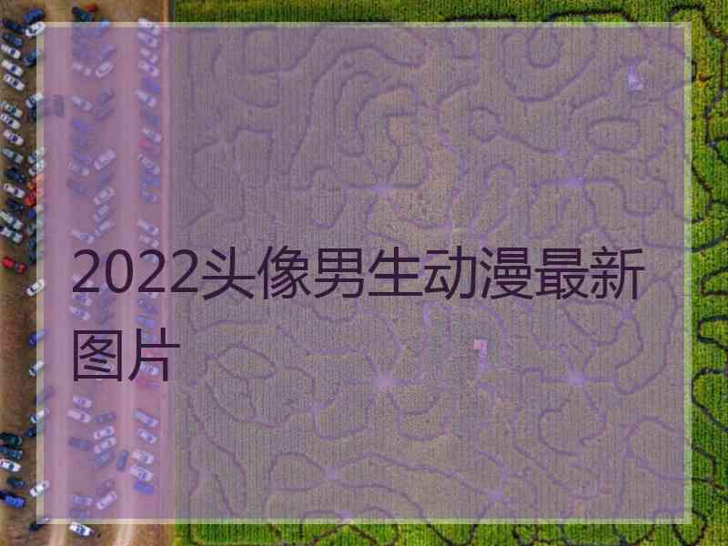 2022头像男生动漫最新图片