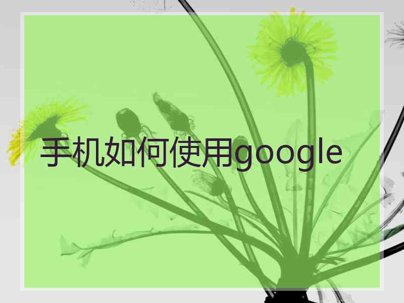 手机如何使用google