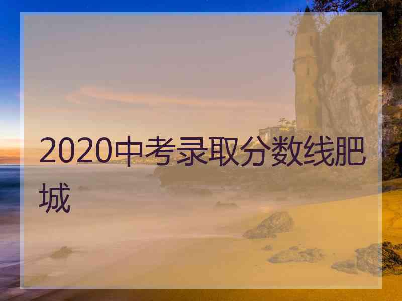 2020中考录取分数线肥城