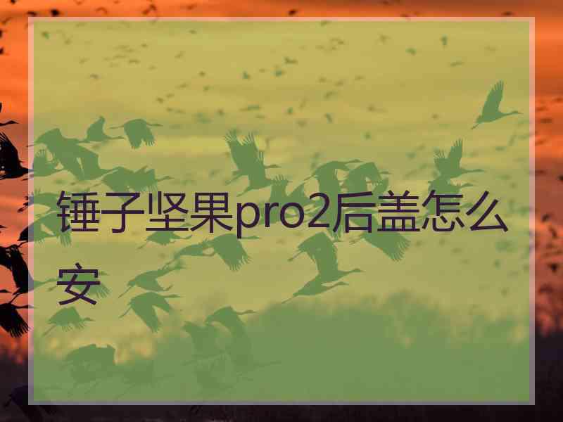 锤子坚果pro2后盖怎么安