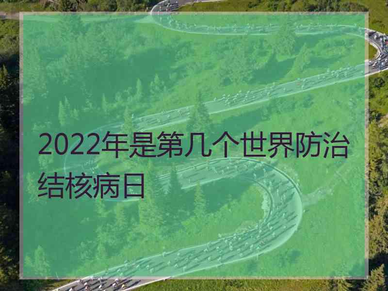 2022年是第几个世界防治结核病日