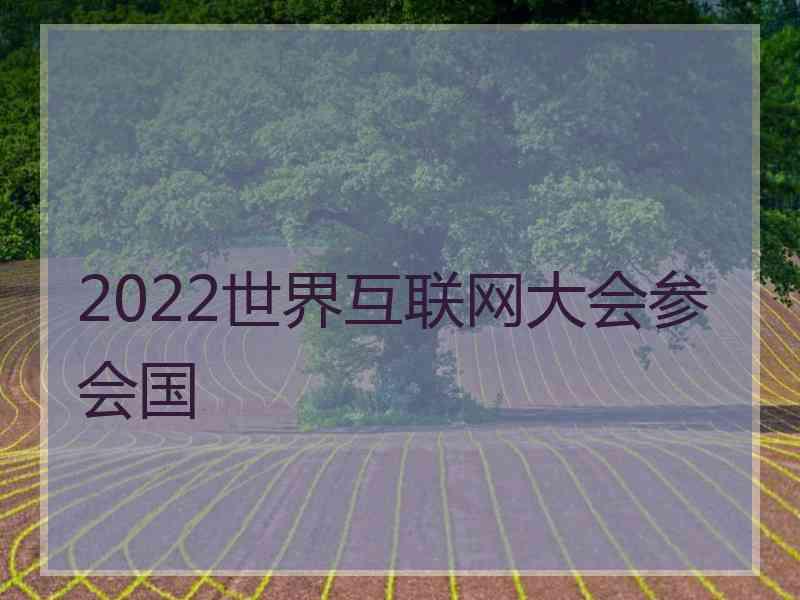 2022世界互联网大会参会国