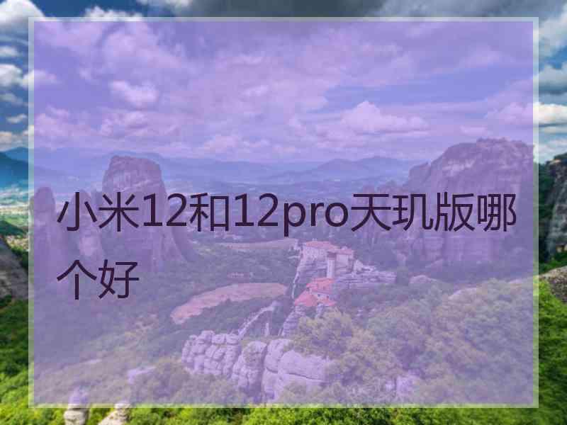 小米12和12pro天玑版哪个好