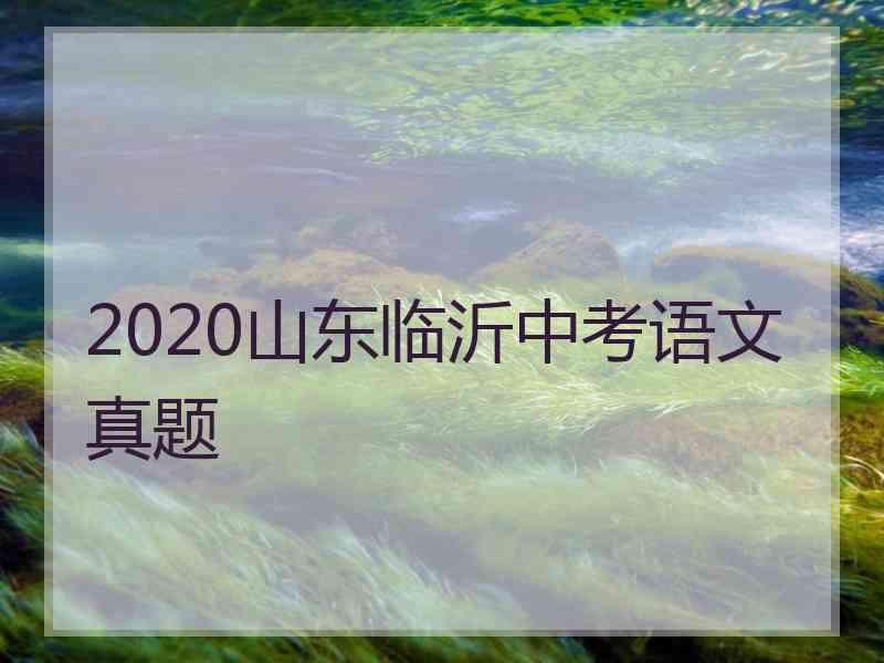 2020山东临沂中考语文真题