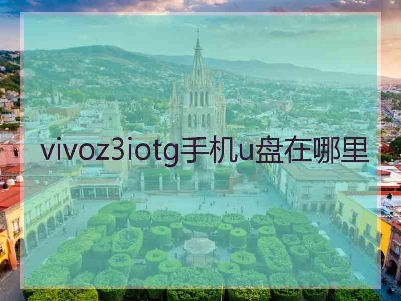 vivoz3iotg手机u盘在哪里