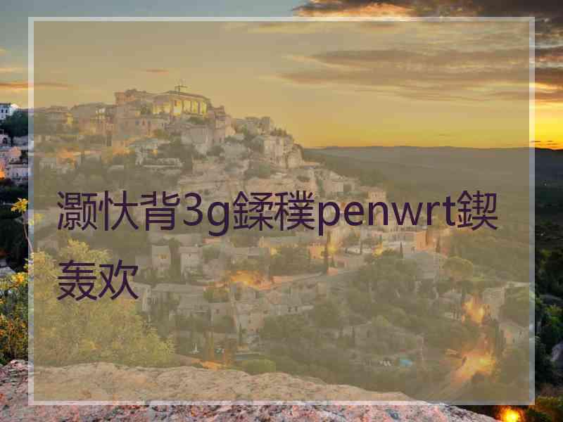 灏忕背3g鍒穙penwrt鍥轰欢