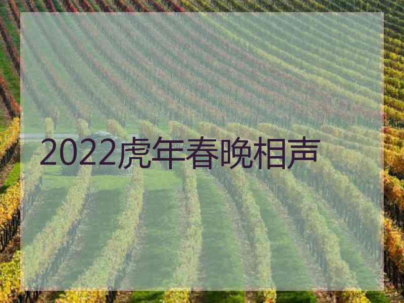 2022虎年春晚相声