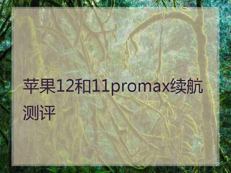 苹果12和11promax续航测评