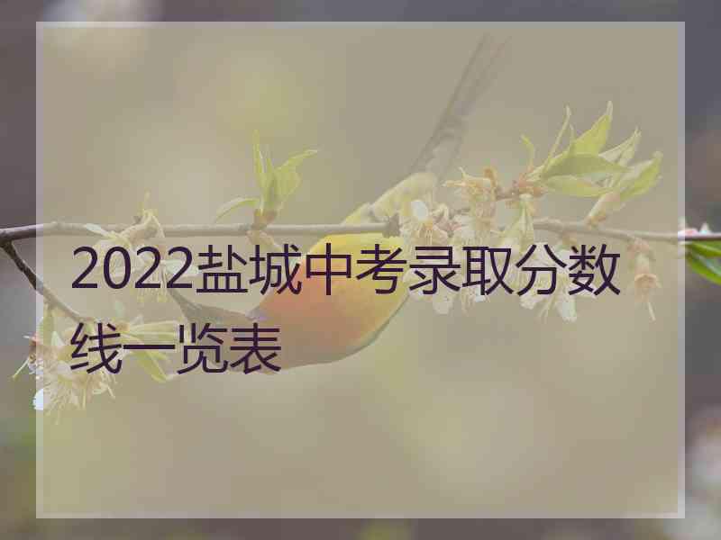 2022盐城中考录取分数线一览表