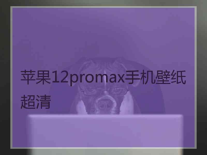 苹果12promax手机壁纸超清