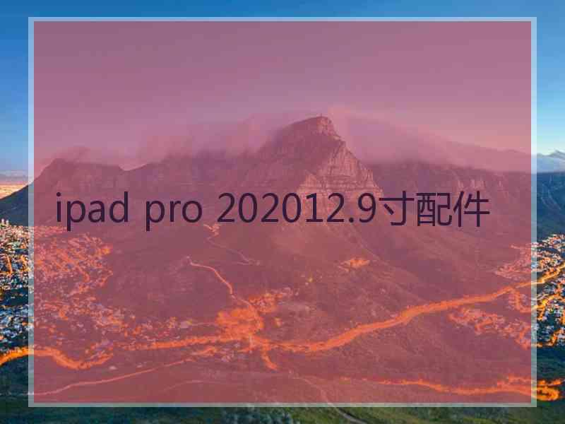 ipad pro 202012.9寸配件