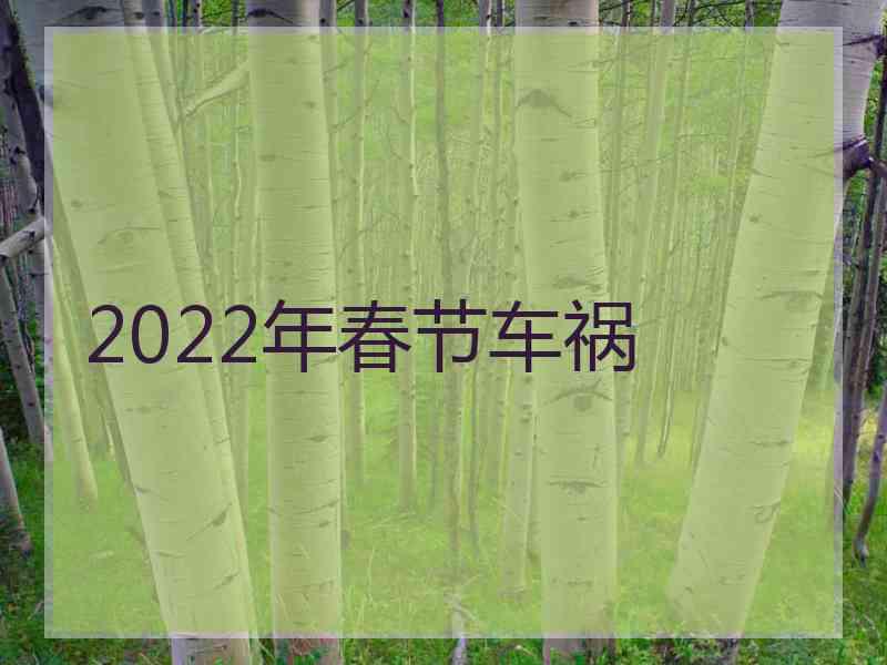 2022年春节车祸