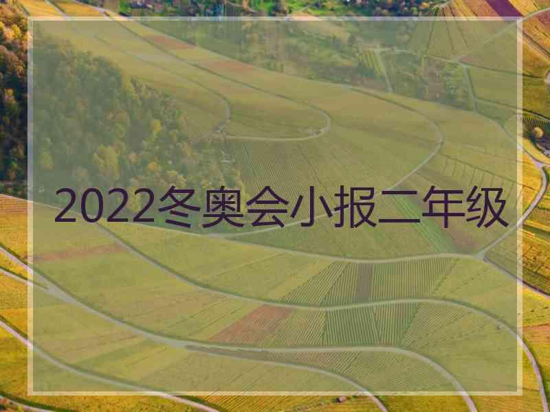 2022冬奥会小报二年级