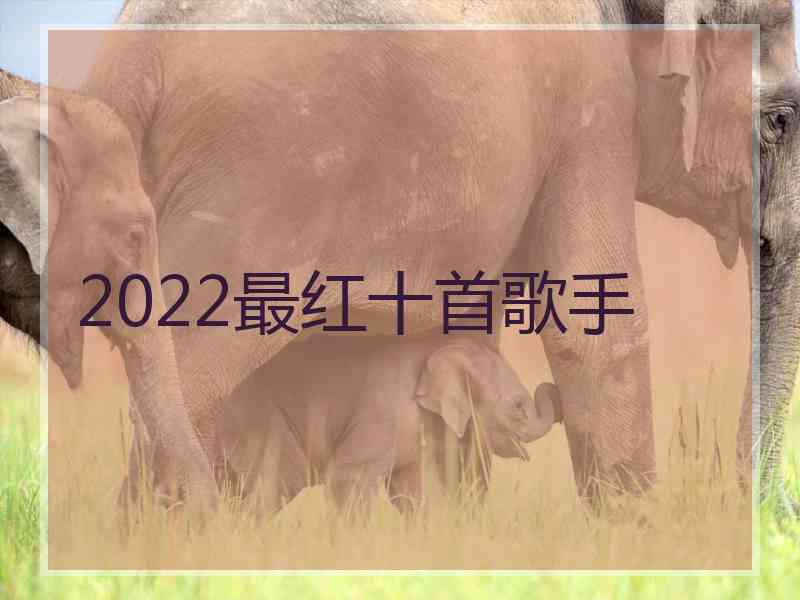 2022最红十首歌手