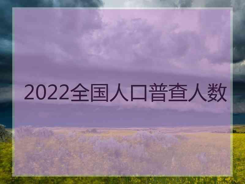 2022全国人口普查人数