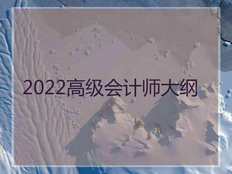 2022高级会计师大纲