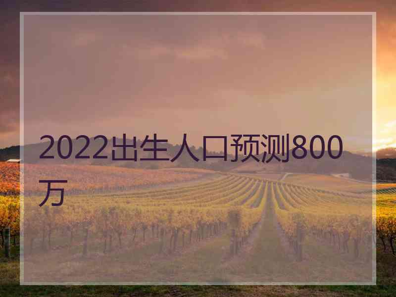 2022出生人口预测800万