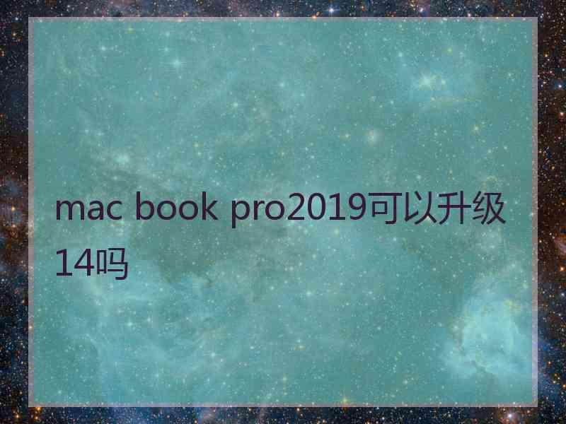 mac book pro2019可以升级14吗