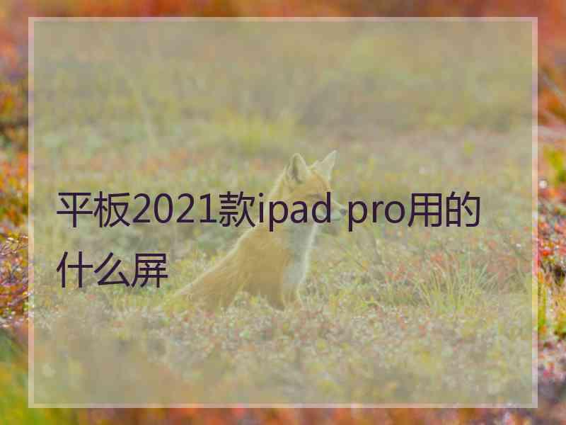 平板2021款ipad pro用的什么屏