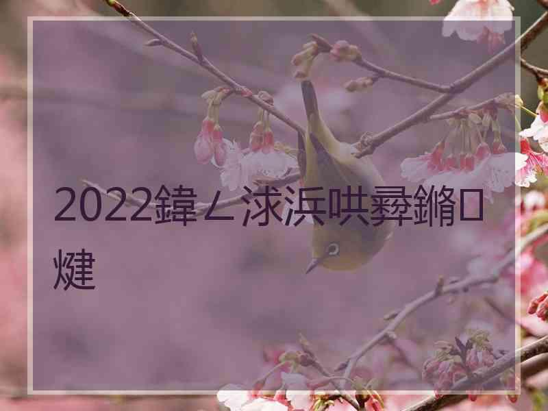 2022鍏ㄥ浗浜哄彛鏅煡