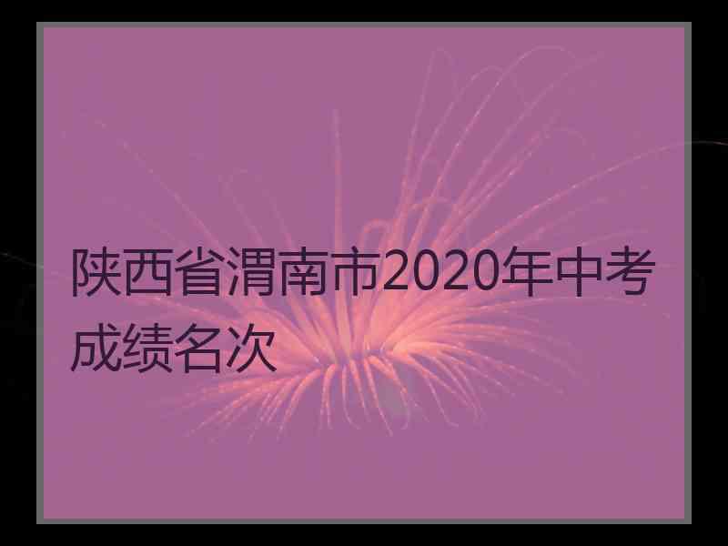 陕西省渭南市2020年中考成绩名次