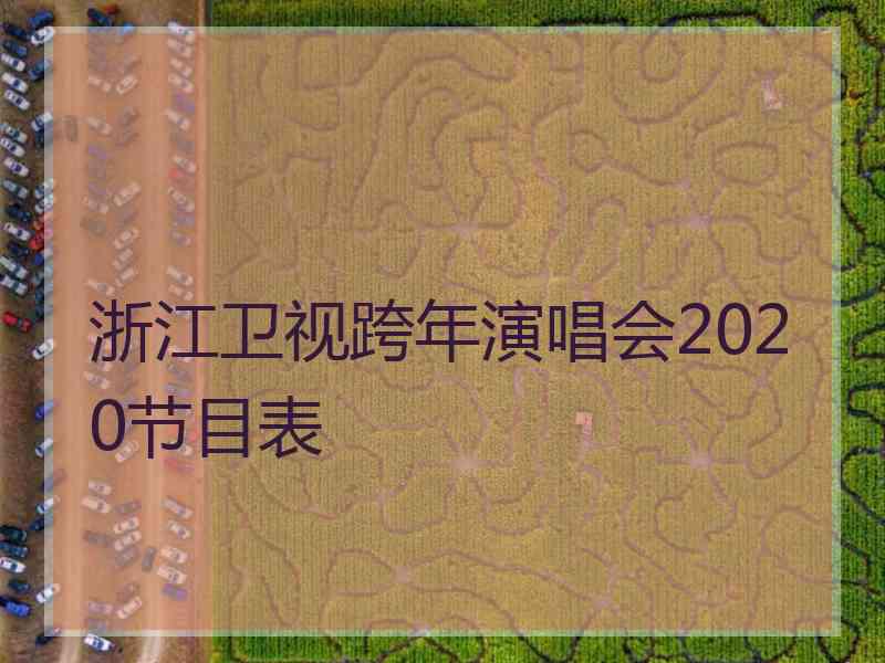 浙江卫视跨年演唱会2020节目表