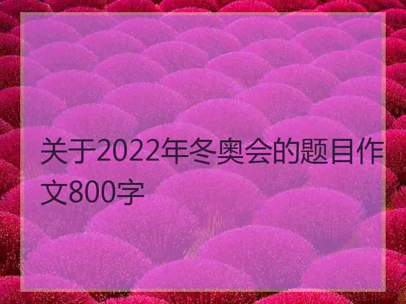 关于2022年冬奥会的题目作文800字