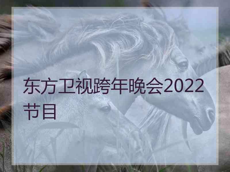 东方卫视跨年晚会2022节目