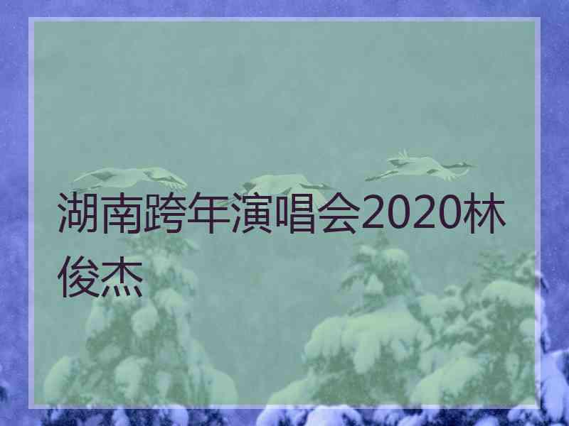 湖南跨年演唱会2020林俊杰