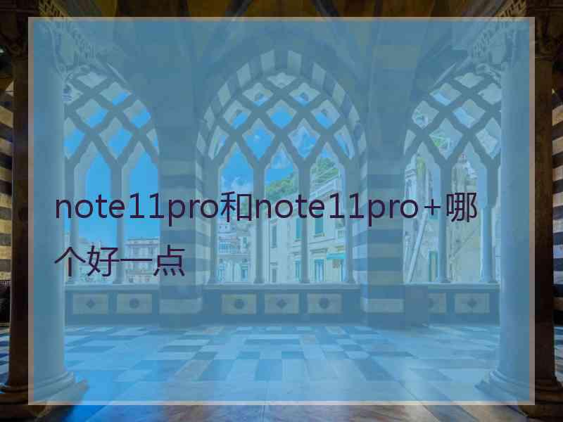 note11pro和note11pro+哪个好一点