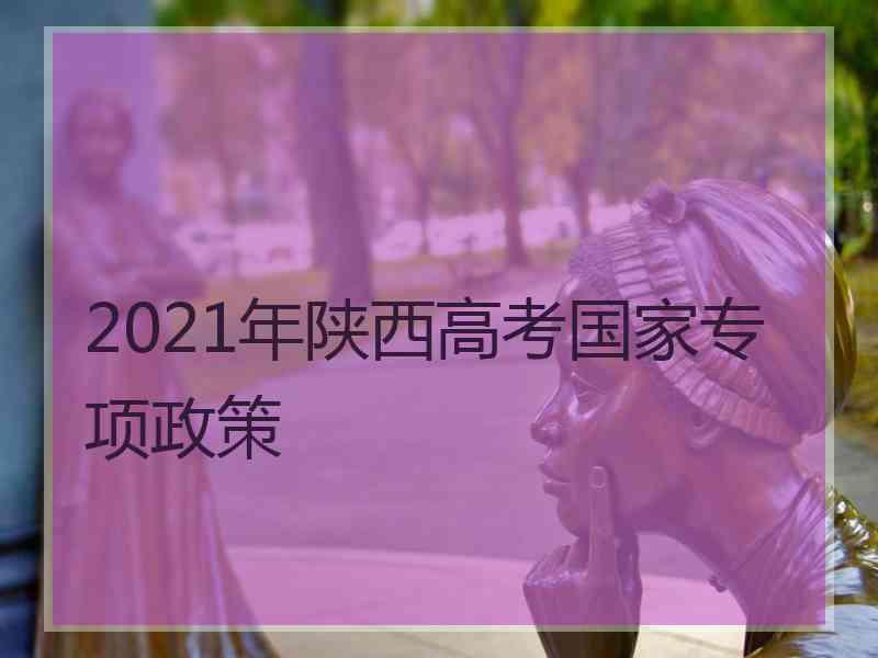 2021年陕西高考国家专项政策